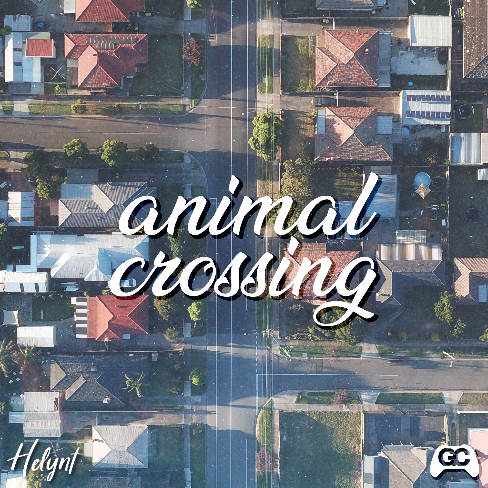 Album art for Animal Crossing