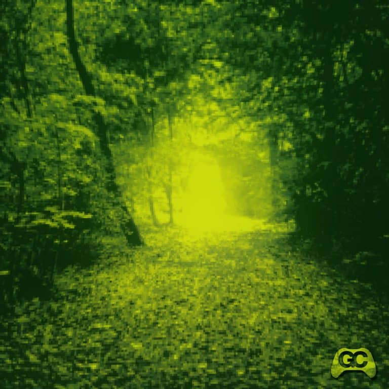 Album art for Leaves Fill the Path